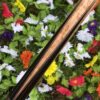 Barenbrugge custom cue